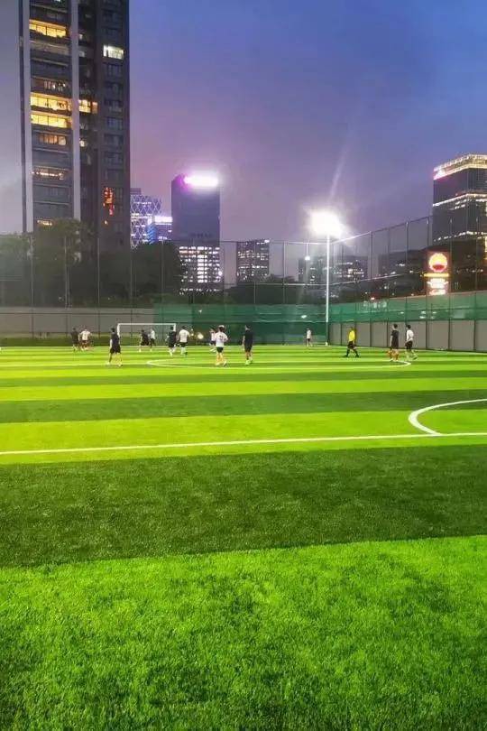 817f466d173a4857ac9717d643716319